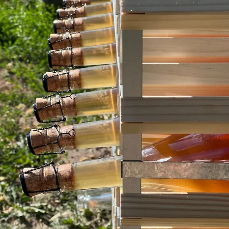 Be Sulfitu * Palanga