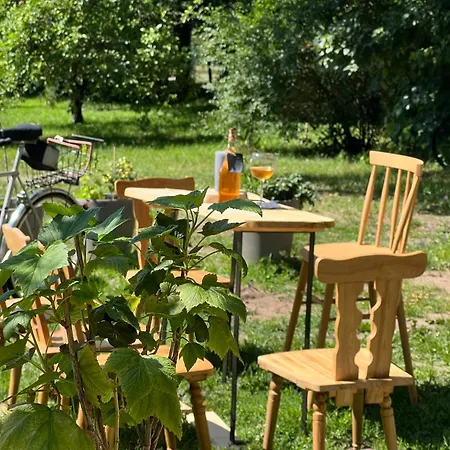 Dviratis Ir Bbq Palanga
