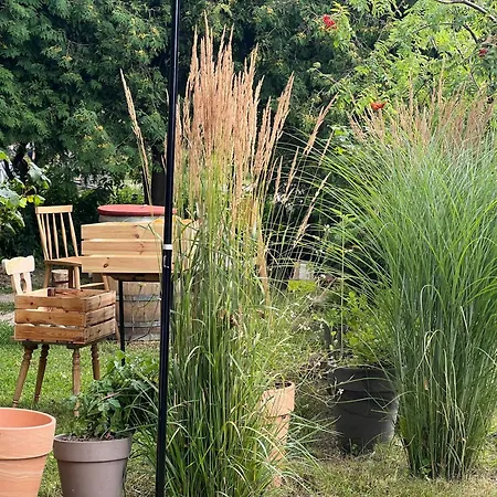 Be Sulfitu פלאנגה