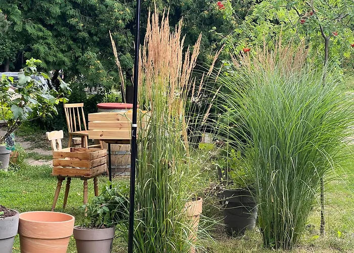 Be Sulfitu פלאנגה